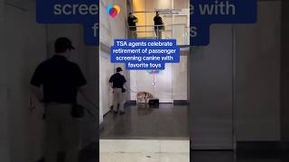 TSA agents celebrate retirement of passenger screening canine #shorts