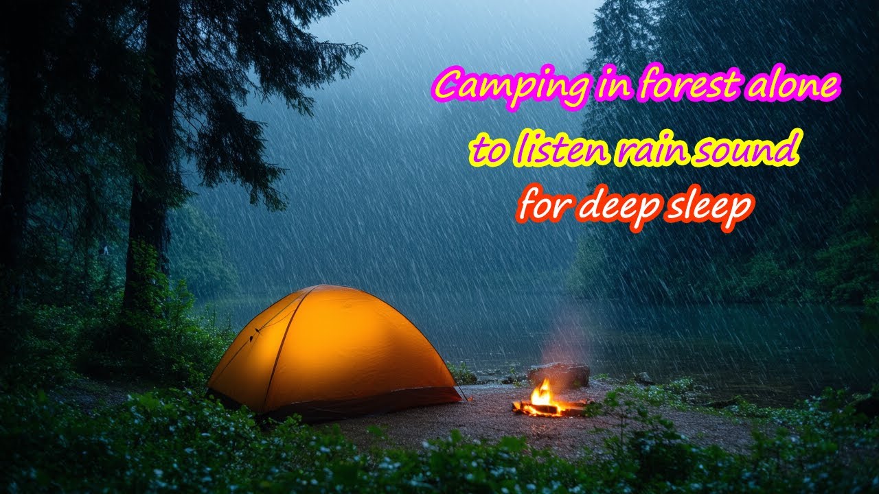 Camping alone in the forest to listen rain sound to help deep sleeping ...