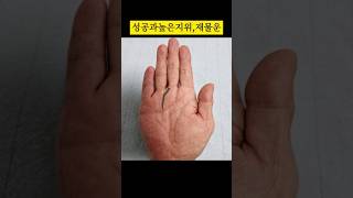 &quot;재물과 지위&quot;을 얻는손금 입니다!  &quot;자신이 중심&quot; #태양선손금(변형태…