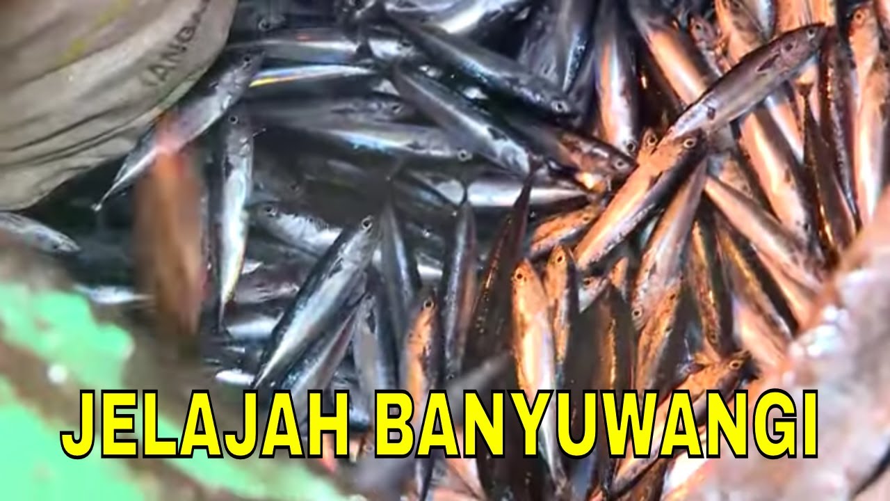 [FULL] JELAJAH BANYUWANGI | JEJAK ANAK NEGERI (10/03/22)