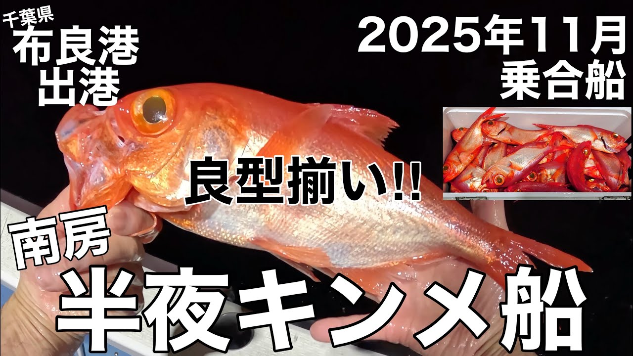 半夜キンメ‼️布良港出港半夜キンメ船‼️乗合船‼️