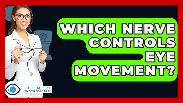 Which Nerve Controls Eye Movement? - Optometry Knowledge Base
