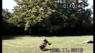 Flux Jumps.avi