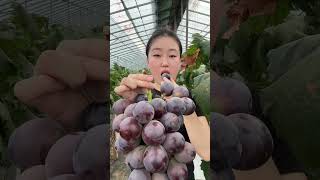 Full of juice is so satisfying. Table Tennis Grapes. Sound control #81
