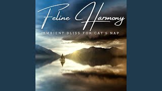 Rain's Catnap Prelude