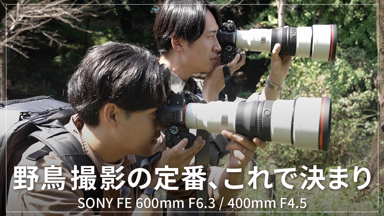 First Impression】Surprisingly Lightweight! The Highly Anticipated