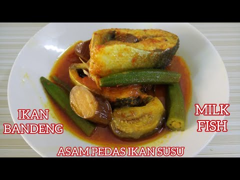 Video: Bagaimana Cara Memasak Susu Ikan?