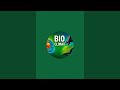 😍 Bollywood 🎯 songs 😍 #viral 💯#shorts 📚#youtubeshorts 🎯💯📚👍🥳