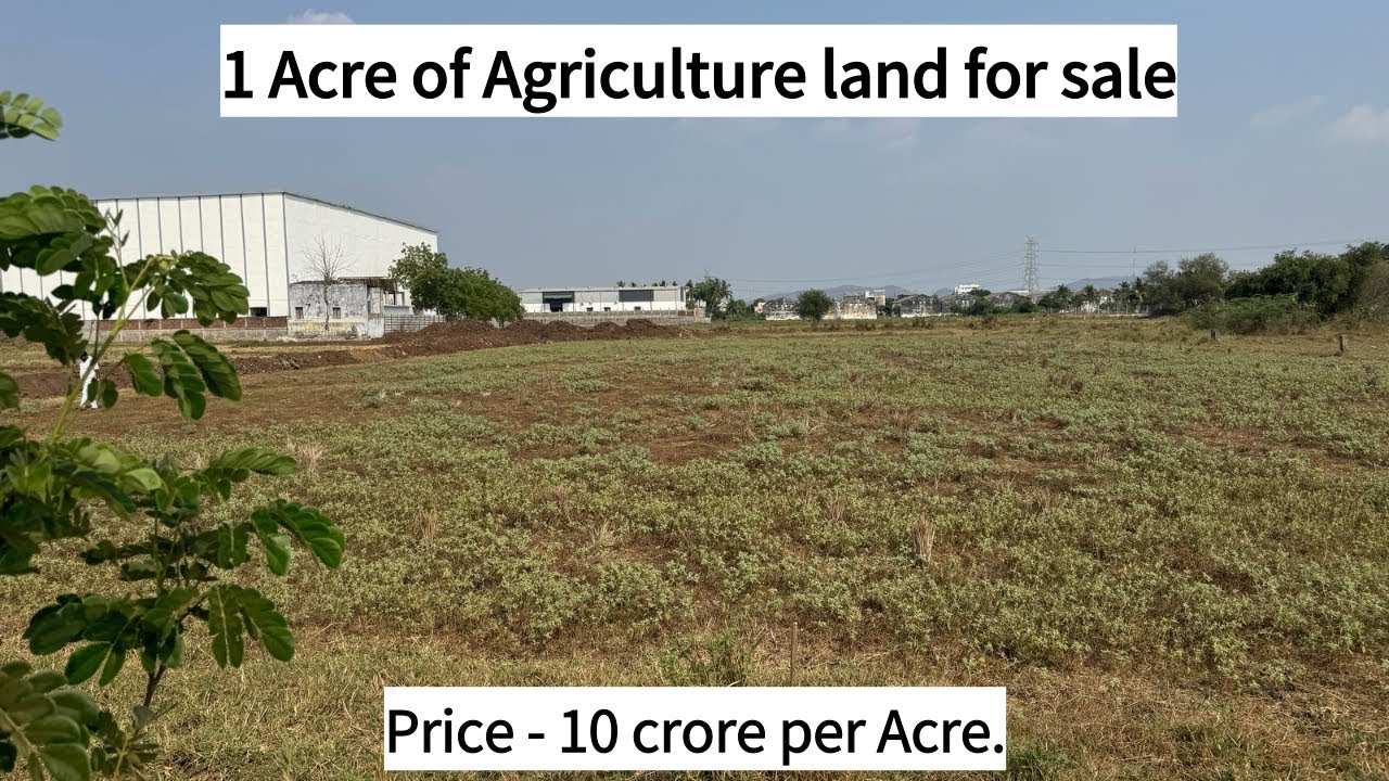 1 Acre || Agricultural land for sale || Nallakunta | Krishna Dist., | Andhra Pradesh
