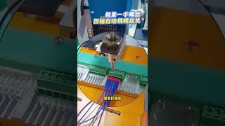 Slotted Screw Auto Fastening Machine, Xyz Screwing Machine, Auto Screw Feeding Machinery