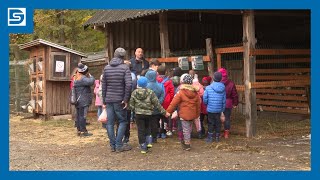 Dstv Természetvédelmi Nap