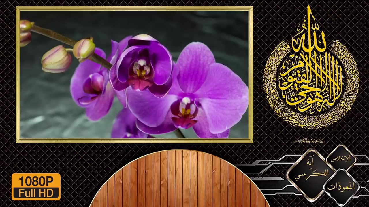 آية الكرسي و الإخلاص و المعوذات مكررة بصوت الشيخ عبد الباسط عبد الصمد