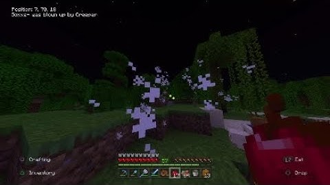 Wandering Trader Trap