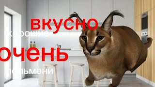 хорошие пельмени