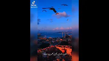 زينة عماد راح اسجل روحي بأسمك حالات واتس اب ستوريات 