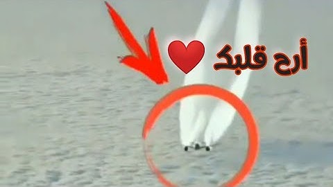 اجمل حالات واتس اب دينيه/قرآن كريم بصوت جميل جدا جداا 💜 مريحة للنفس  Quran States/أرح قلبك 💛