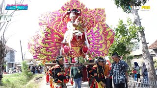 WEDANG PUTIH | NILA GEMOY | BUROK DANGDUT MEGA PRIMA | SHOW DANAREJA LUWUNGBATA TNJUNG 07/08/2025