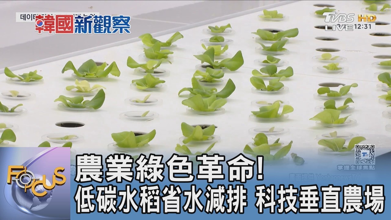 農業綠色革命! 低碳水稻省水減排 科技垂直農場｜FOCUS午間新聞 20260519 @TVBSNEWS01