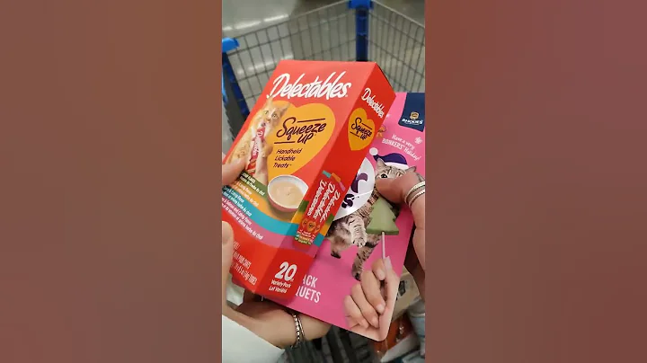 Video 11759681: adopt mainecoon cat