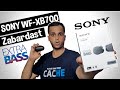 Sony WF-XB700 Review (After 1 Month) | Dhamakedaar Deep Bass | Theatre Like Experience [Hindi]