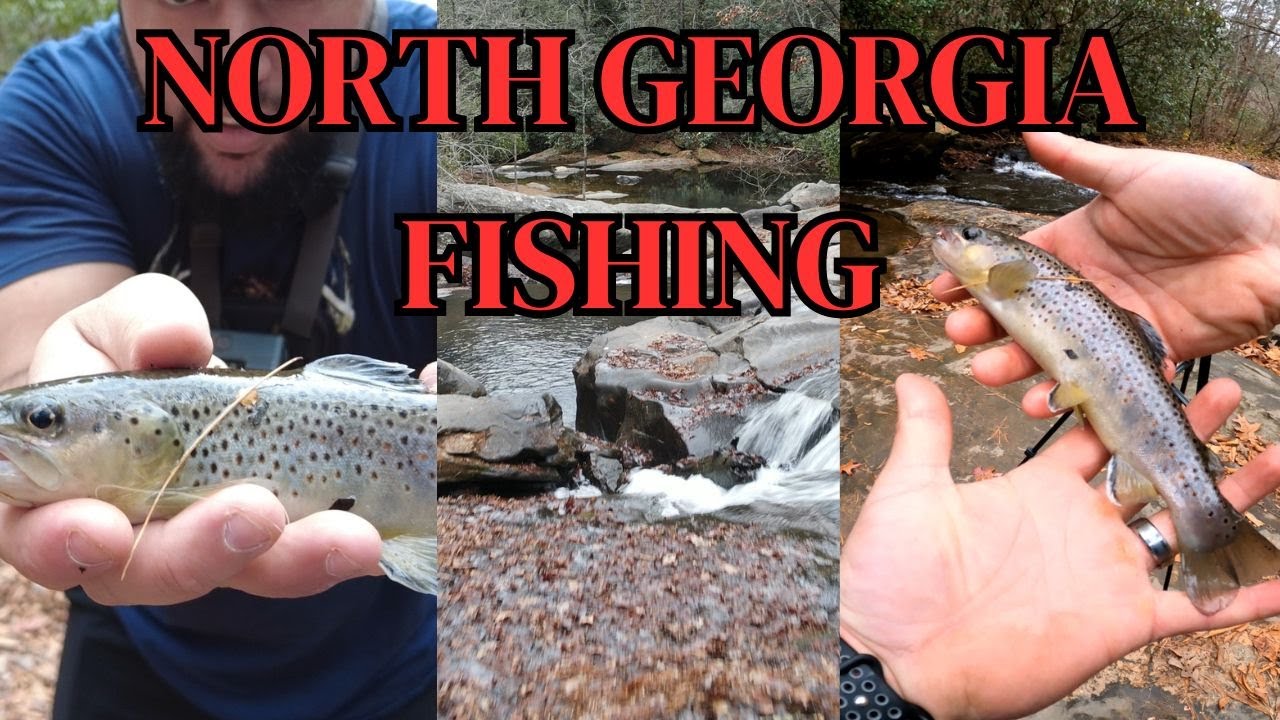 Trout Fishing North Mountains YouTube