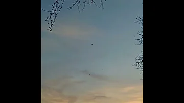 أنت لي 