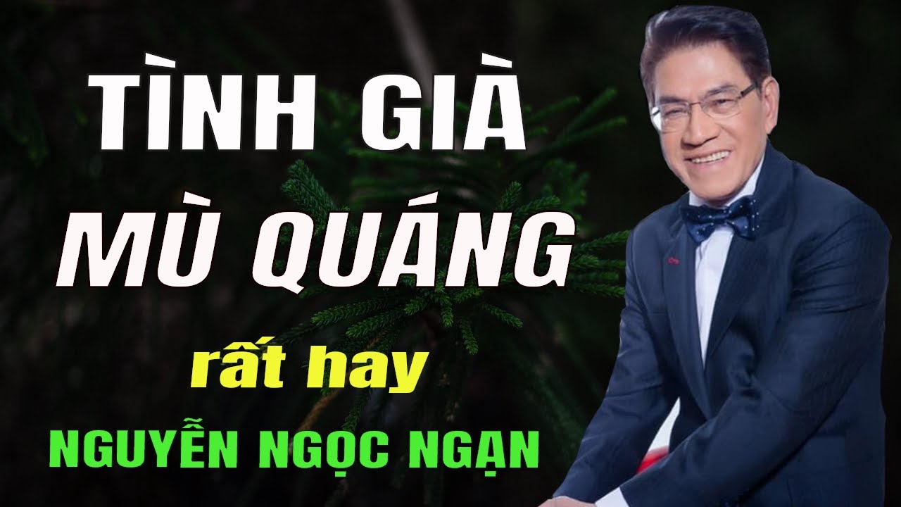 TÌNH GIÀ MÙ QUÁNG - Nguyễn Ngọc Ngạn | Đọc Truyện Đêm Khuya