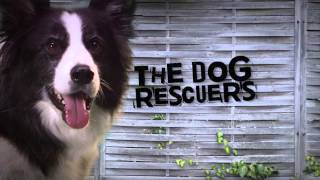 EP5 The Dog Rescuers Tuesday 16th June.