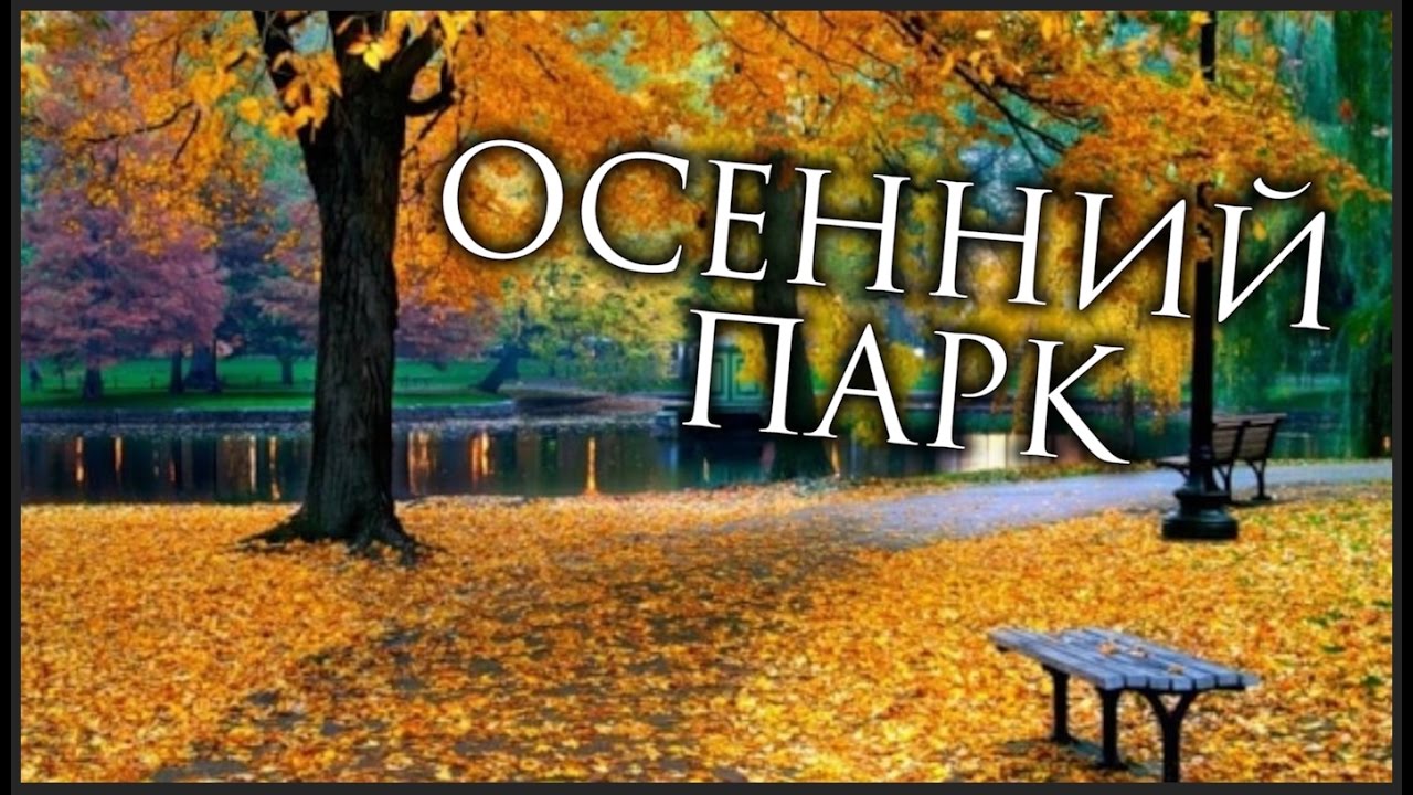 Май май старая песня. Осенний парк ласковый май. Осенний парк Шатунов. Осенний парк Шатунова. Май осенью.