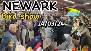 NEWARK BIRD SHOW SPRING 24/03/24.  Part  [ 1 ]