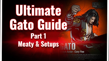 Fatal Fury City of the Wolves | Gato Guide Meaty & Setups Part 1
