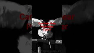 Can Owls Hear Prey Under Snow #AnimalFacts #WhatTheFact #WeirdFacts #NatureFacts #Shorts #facts
