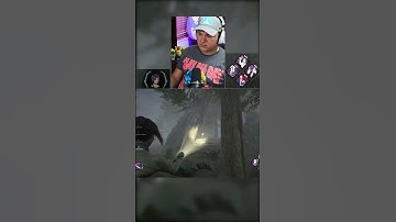 Sniper Flashlight Save