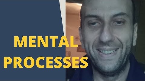 Mental processes in psychology: university lecture