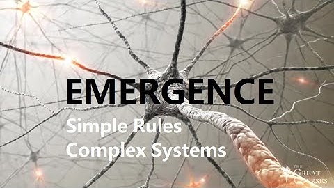 EMERGENCE:  Simple Rules, Complex Systems - Lecture 23 of 24