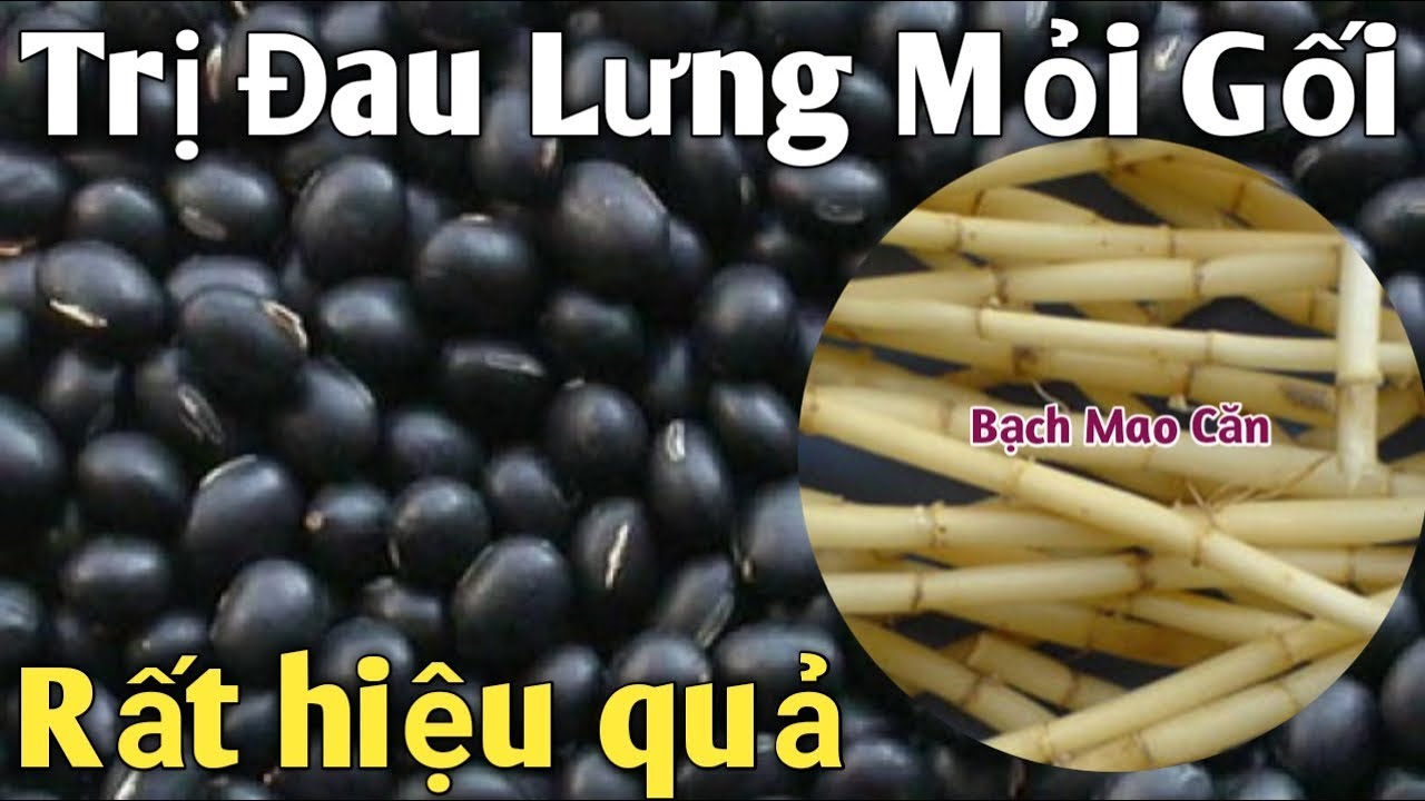 4 Bài thuốc Trị Đau Lưng Mỏi Gối rất hiệu quả. PHAN HẢI Channel