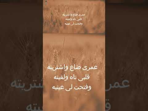 ياللي مت بدالي 