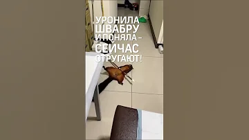 Белка со шваброй стала актрисой Большого театра