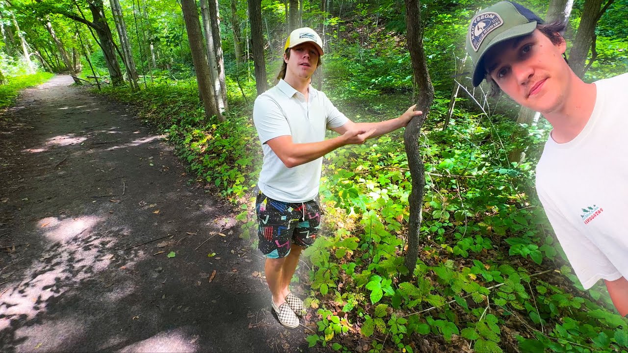 Rating 5 Hiking Trails In London