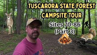 Tuscarora State Forest Campsite Tour ~ Sites 70-86 (Part 3)