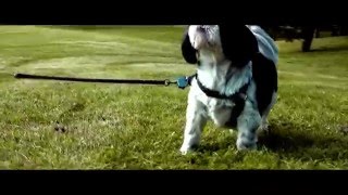 Colour correction test