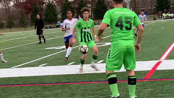 Brendan Maguire 2020 Highlights