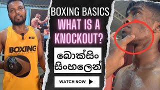 Knockout එකක් කියන්නේ මොකක්‌ද? | What is a KO? | බොක්සිං සරලව #KOsandSubmissions