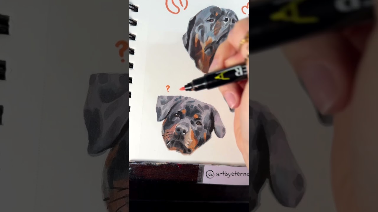 Rottweiler portraits
