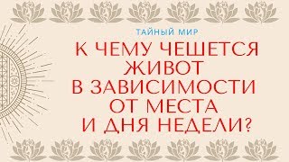 К чему чешется живот в зависимости от места и дня недели? Подробное толкование приметы