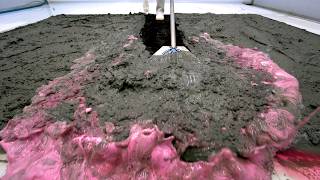 Someone Left This Rug After a Backyard Flood - Pink Foam Revealed What Was Hidden Carpet Cleaning