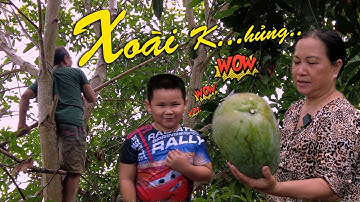 Gỏi  Xoài Khô  Cá  Lóc & Xoài  Lắc