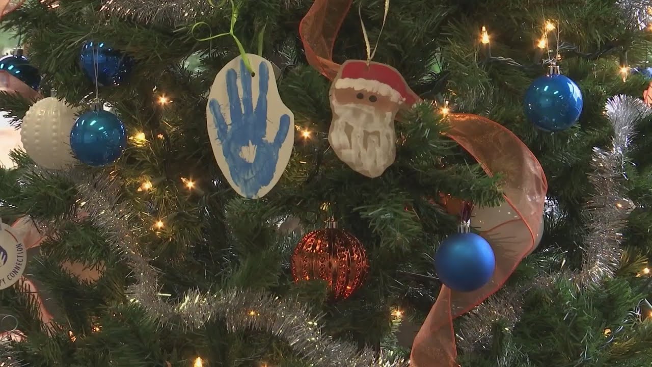 Family Support Network launches holiday fundraiser