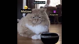 Matzee Vs Kurgucularher İzleyen Taki̇p Etse 20K Olurduk