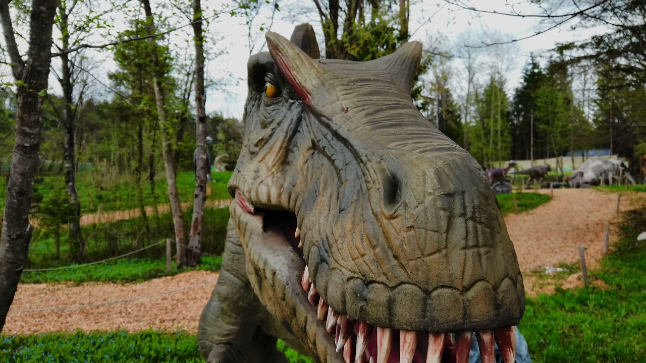 Dino Park  -  Lesce - Radovljica